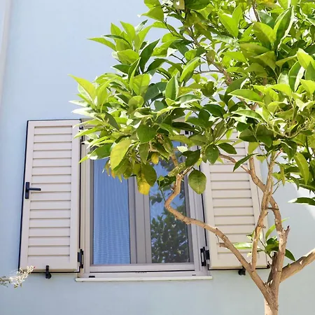 Apartament Sandika *